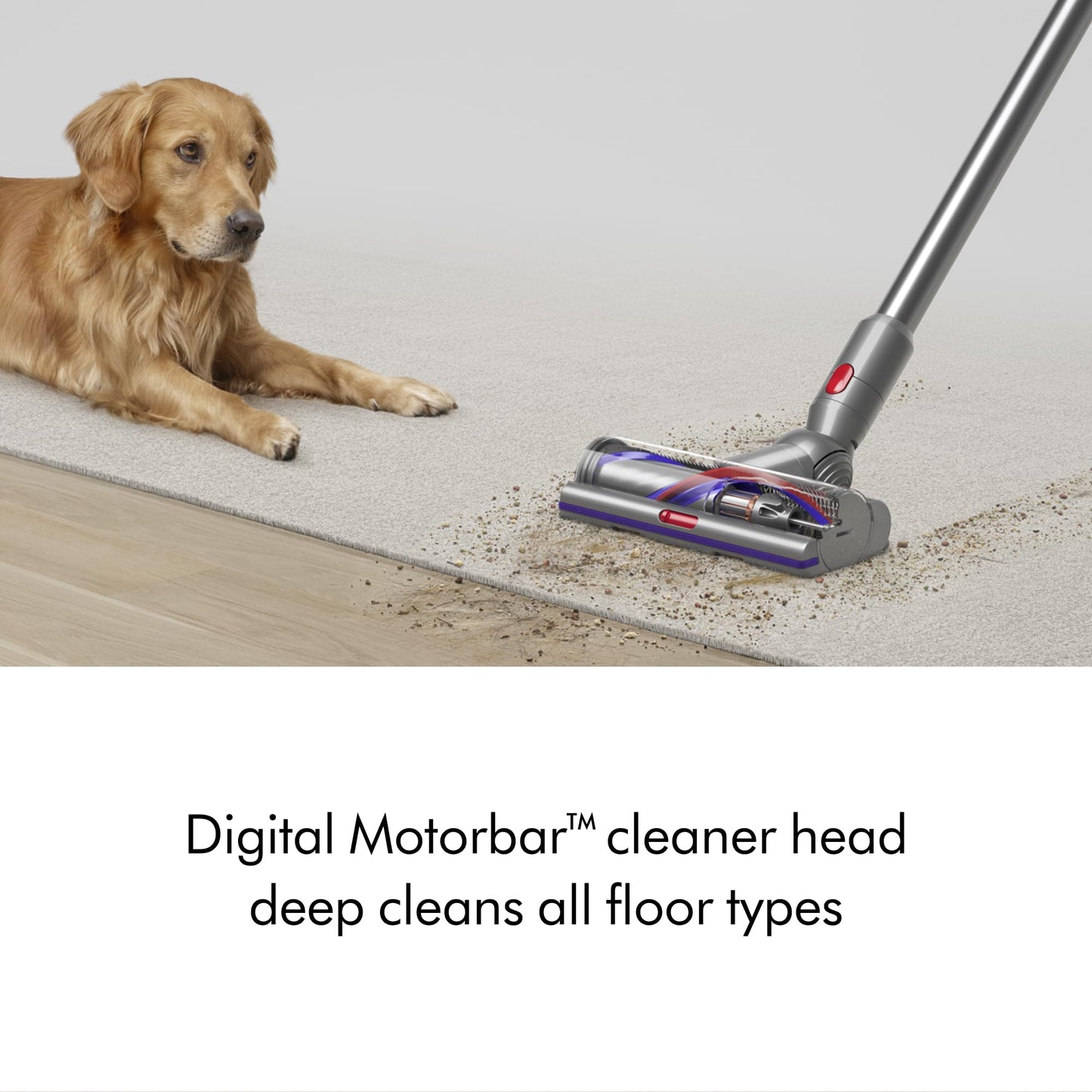 Dyson V15 Detect Plus cordless vacuum, laser dust detection, 240AW suction, deep carpet & pet cleaning.
